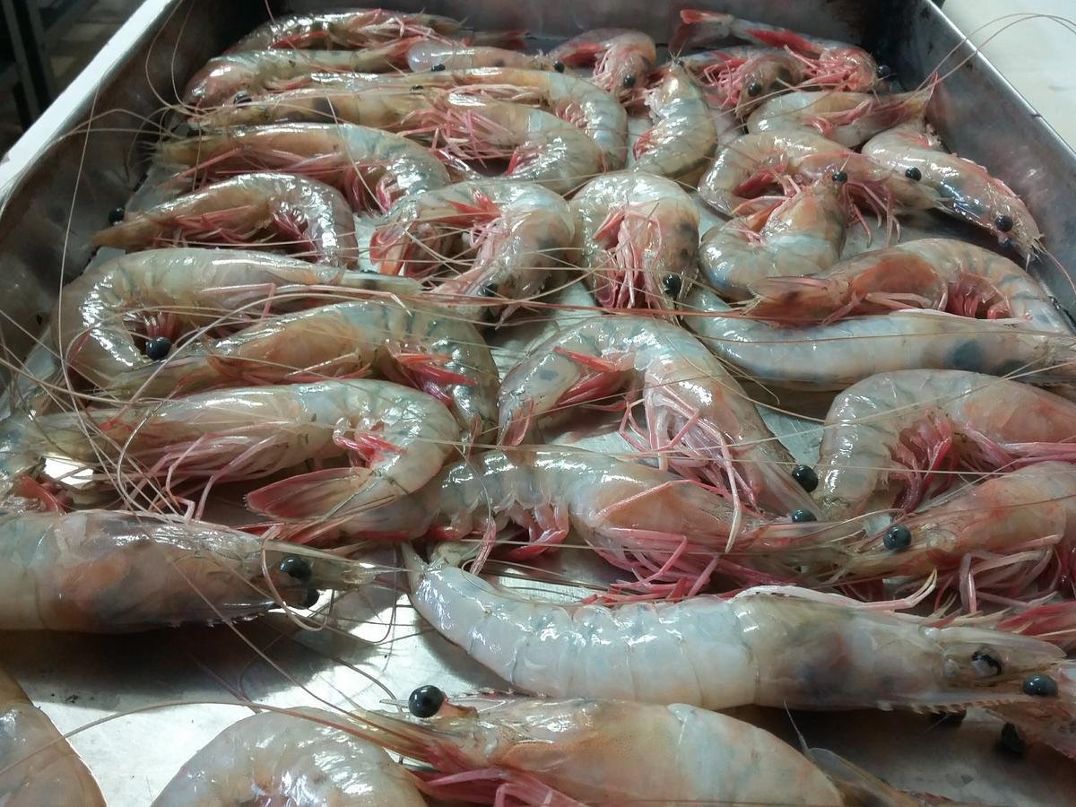 Pousada Chef Brasil Барра-Велья Экстерьер фото
