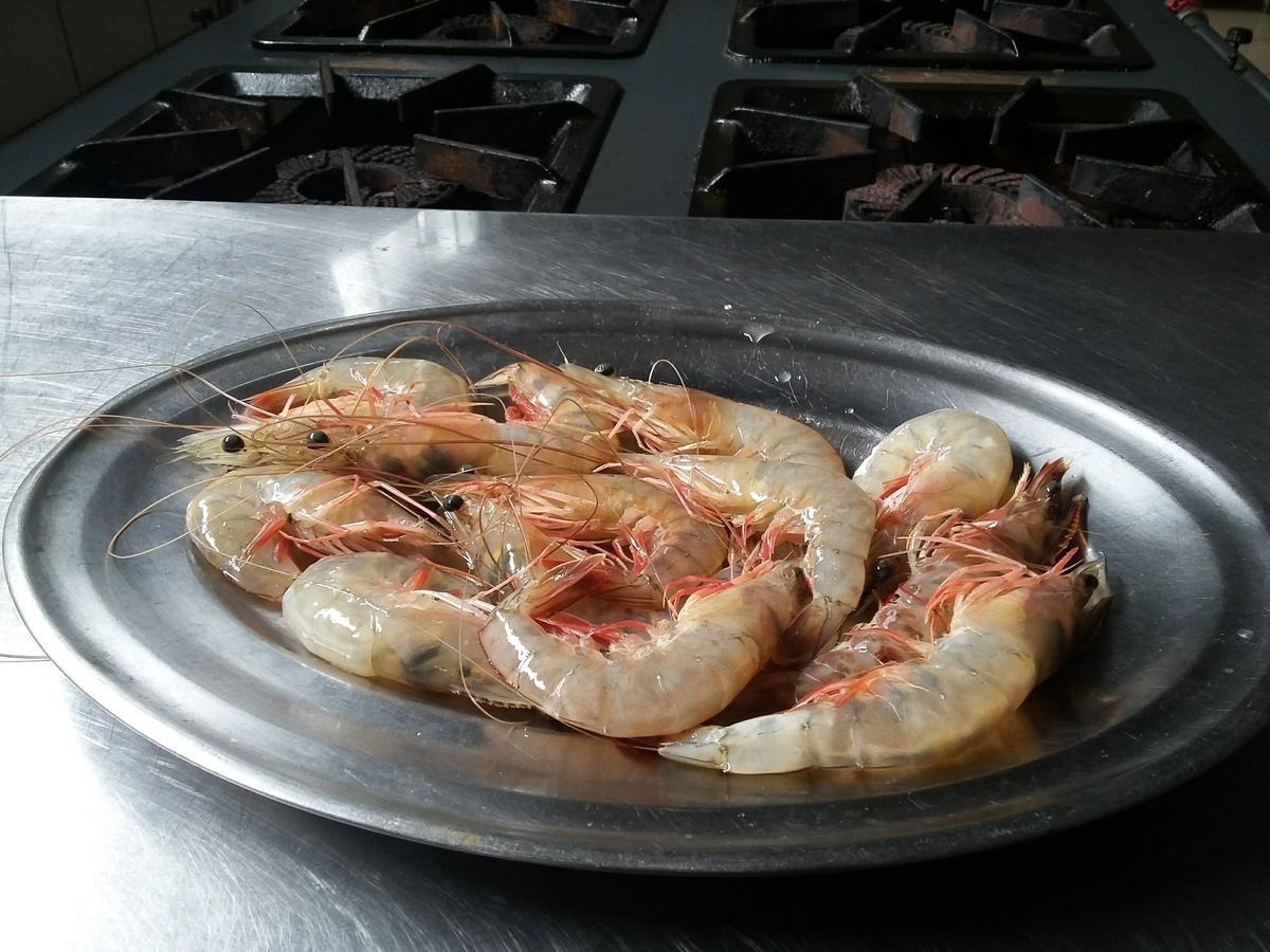Pousada Chef Brasil Барра-Велья Экстерьер фото